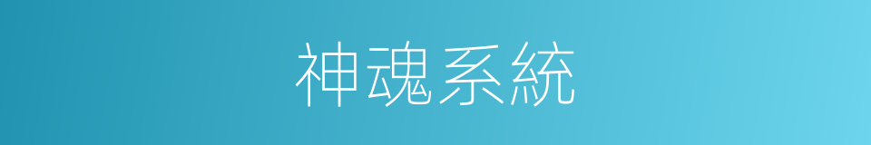 神魂系統的同義詞