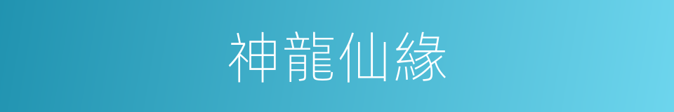神龍仙緣的同義詞
