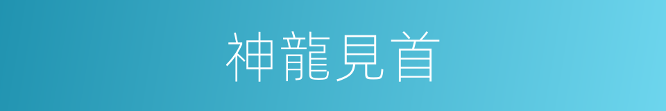 神龍見首的意思