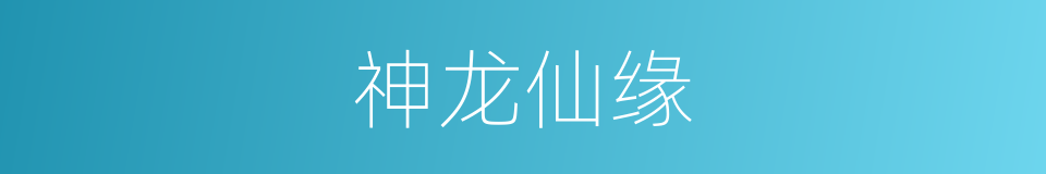 神龙仙缘的同义词