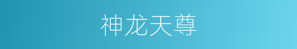 神龙天尊的同义词