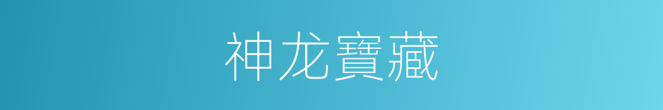 神龙寶藏的同義詞