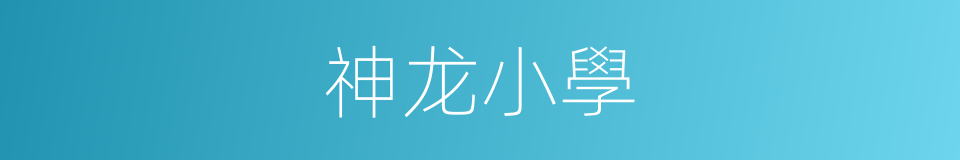 神龙小學的同義詞