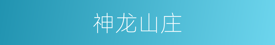 神龙山庄的同义词