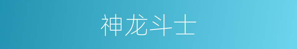 神龙斗士的同义词