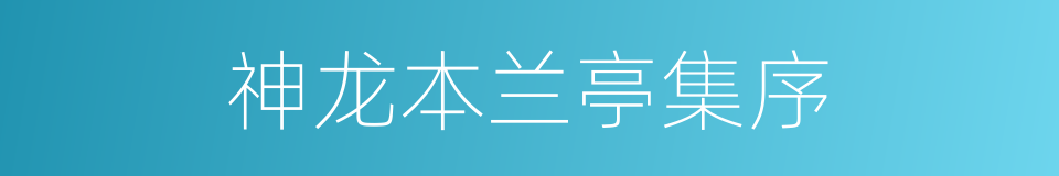 神龙本兰亭集序的同义词