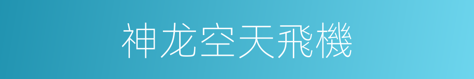 神龙空天飛機的同義詞