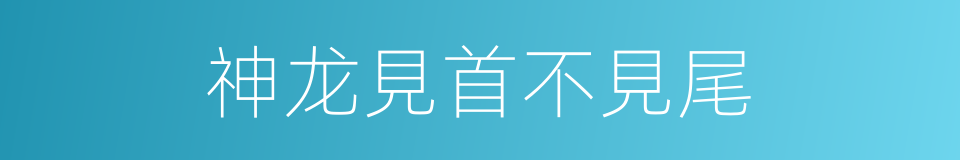 神龙見首不見尾的同義詞