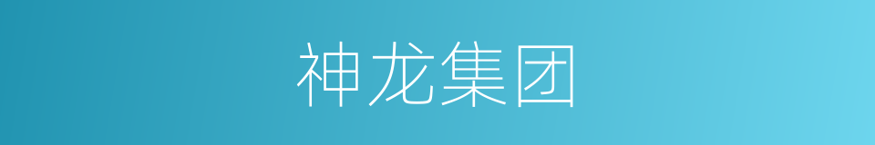 神龙集团的同义词