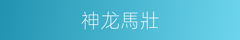 神龙馬壯的意思