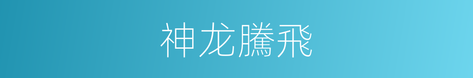 神龙騰飛的同義詞