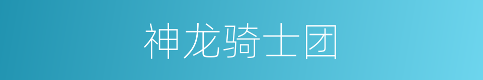 神龙骑士团的同义词