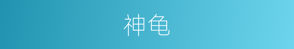 神龟的意思