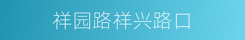 祥园路祥兴路口的同义词