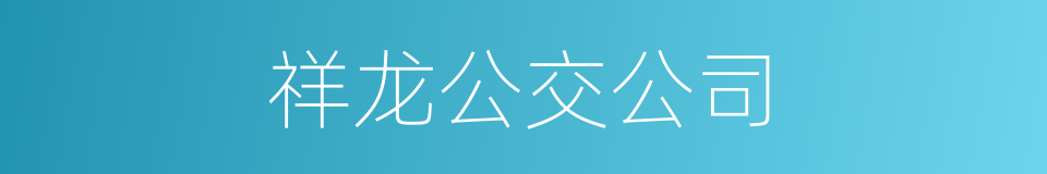 祥龙公交公司的同义词