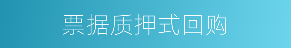 票据质押式回购的同义词