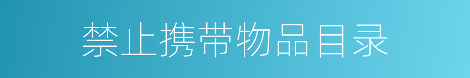 禁止携带物品目录的同义词