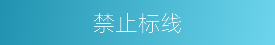 禁止标线的同义词