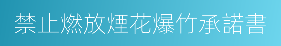 禁止燃放煙花爆竹承諾書的同義詞