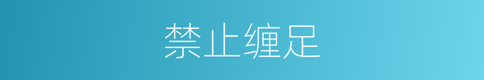 禁止缠足的同义词