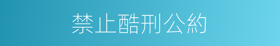 禁止酷刑公約的同義詞