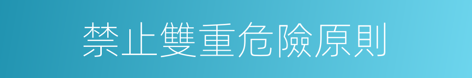 禁止雙重危險原則的同義詞