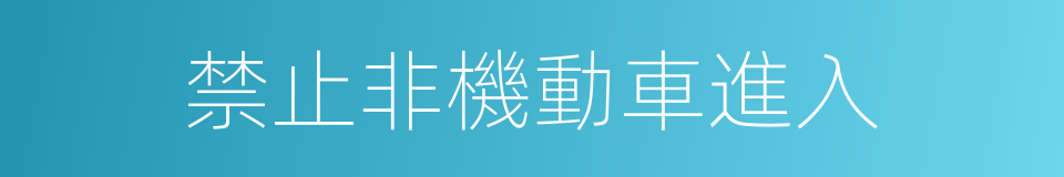 禁止非機動車進入的同義詞