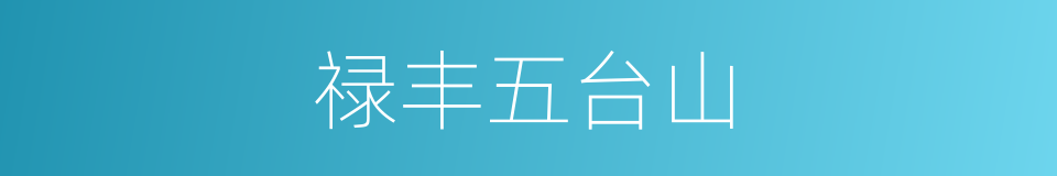 禄丰五台山的同义词
