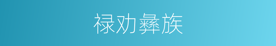 禄劝彝族的同义词