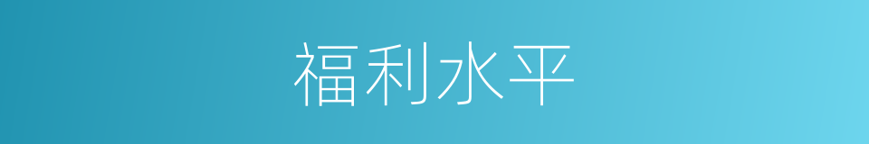 福利水平的意思