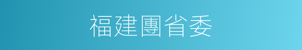 福建團省委的同義詞