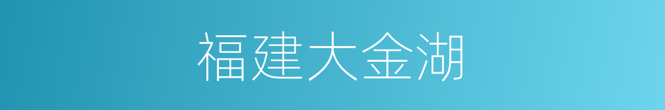 福建大金湖的同义词