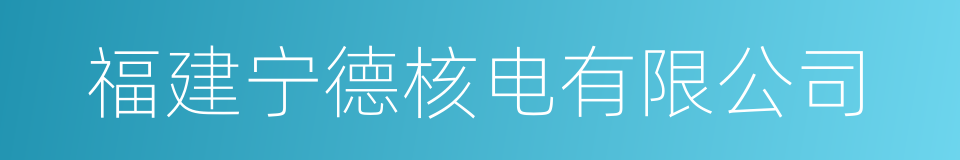福建宁德核电有限公司的同义词