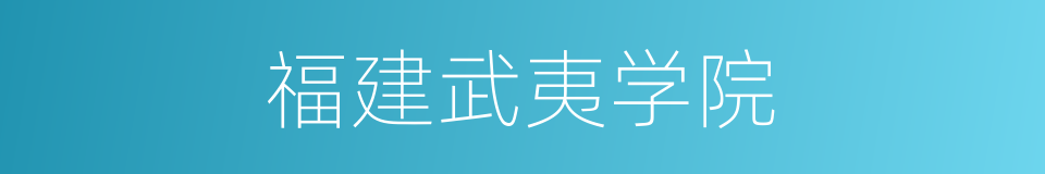 福建武夷学院的同义词