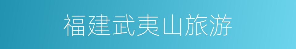 福建武夷山旅游的同义词