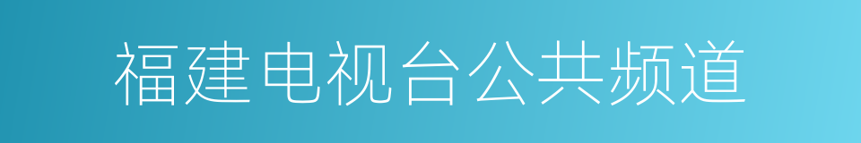 福建电视台公共频道的同义词