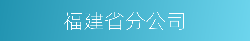 福建省分公司的同义词