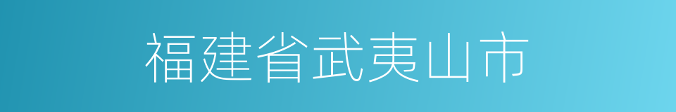 福建省武夷山市的同义词