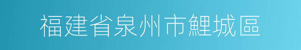 福建省泉州市鯉城區的同義詞