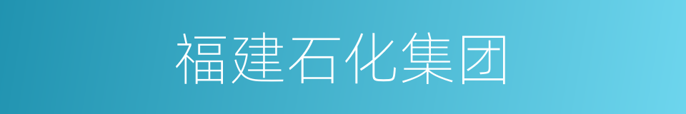 福建石化集团的同义词