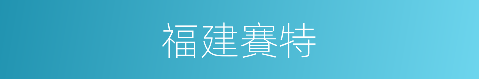 福建賽特的同義詞