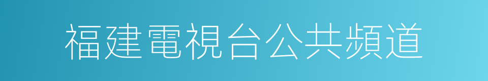 福建電視台公共頻道的同義詞