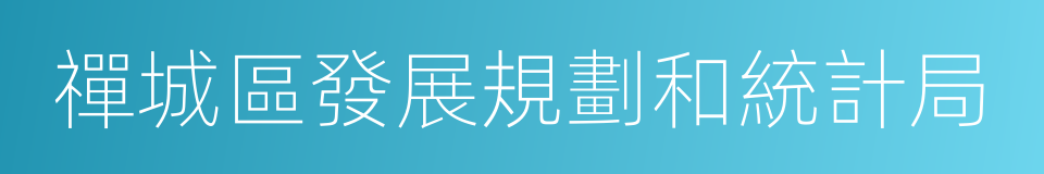 禪城區發展規劃和統計局的同義詞