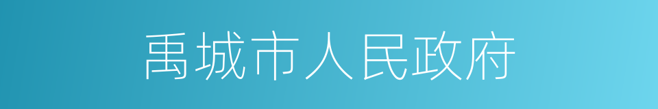 禹城市人民政府的同义词