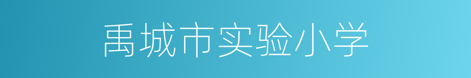 禹城市实验小学的同义词