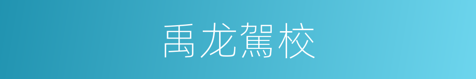 禹龙駕校的同義詞