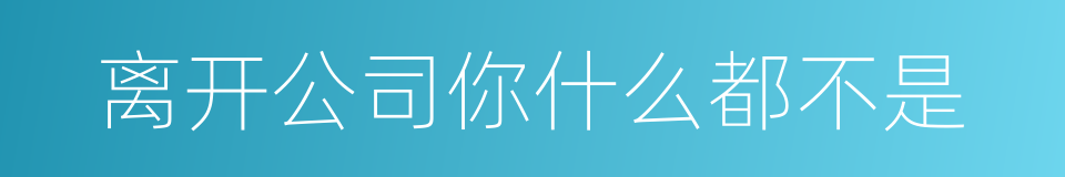 离开公司你什么都不是的同义词