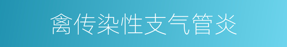 禽传染性支气管炎的同义词