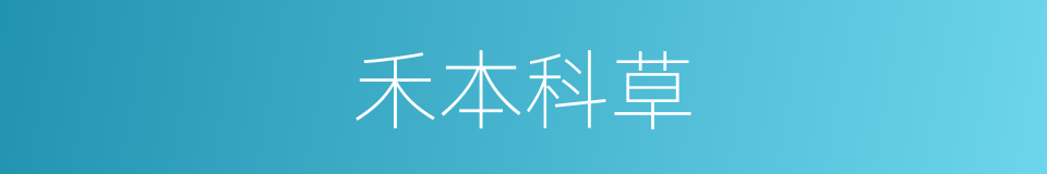 禾本科草的同义词
