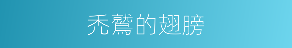 禿鷲的翅膀的同義詞